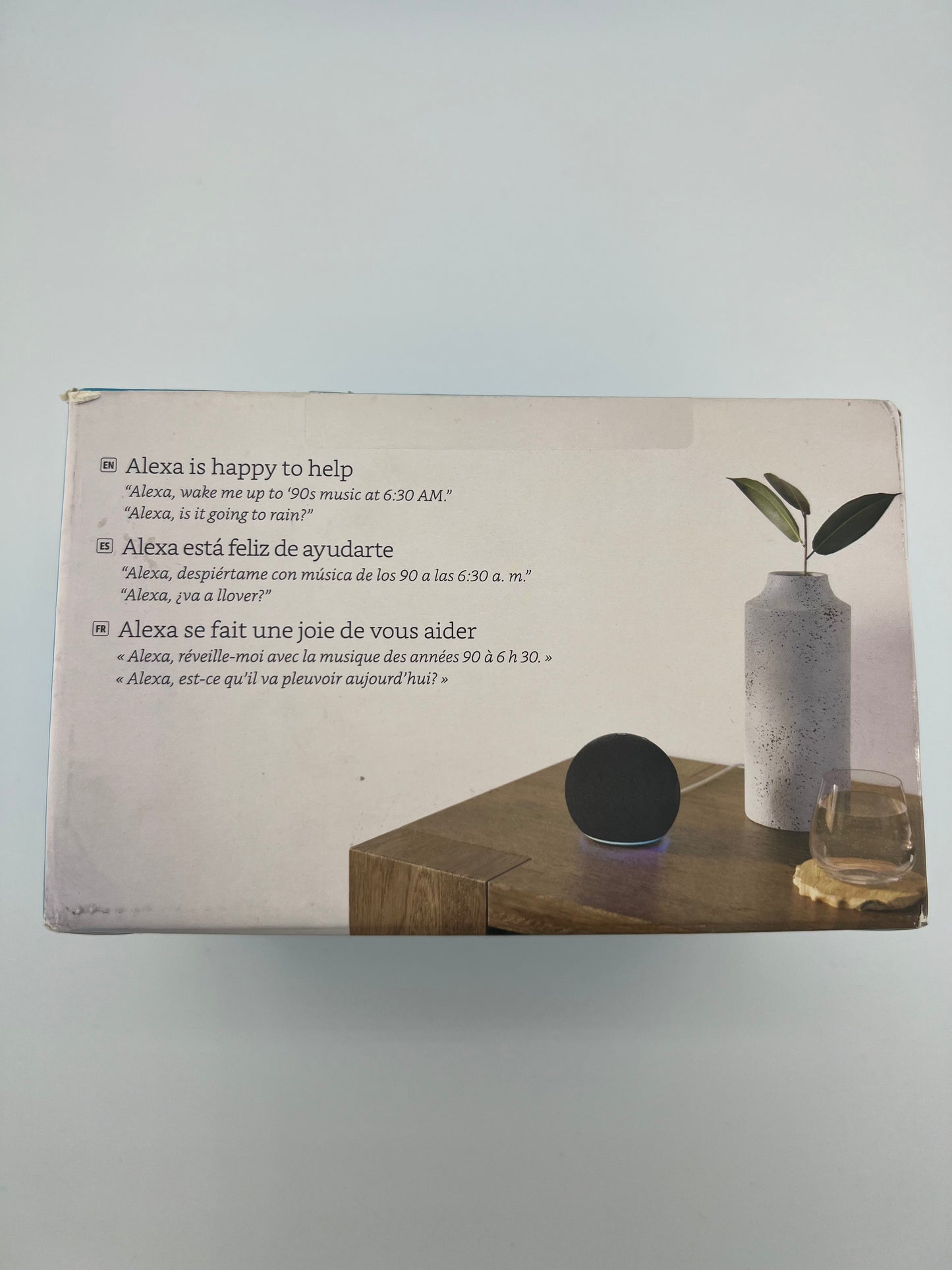 Echo Dot (alexa)
