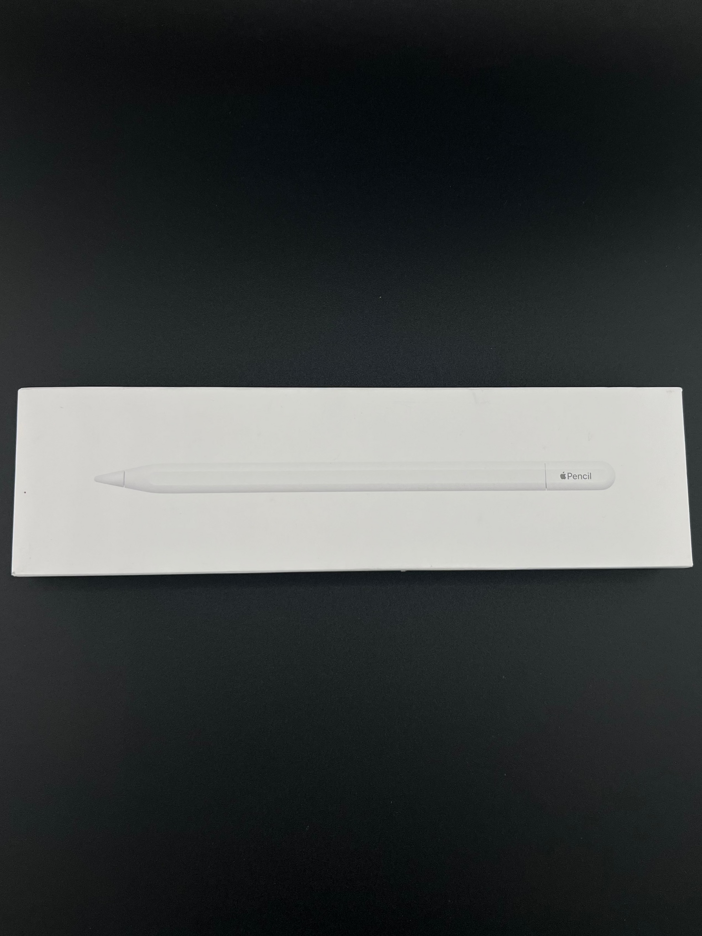 Apple Pencil (USB-C)